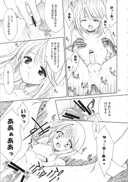 Page 26 of Sairoku Symphonia