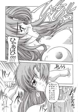 Page 20 of Lacus