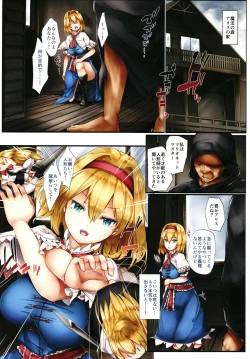 Page 3 of Nikuningyou Alice Margatroid