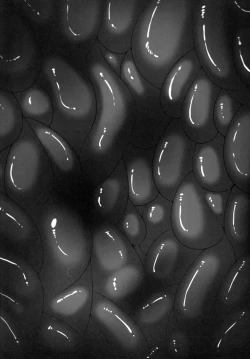 Page 37 of Yami ni Otsu Kunoichi-tachi Third