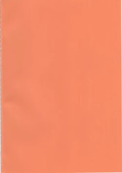 Page 2 of Illy Asobi Cafe