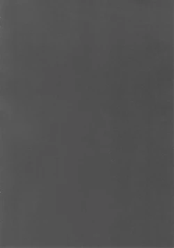 Page 3 of Aru Hi no Ogin Onee-chan