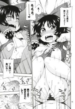 Page 12 of Touhou Meiko