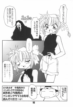 Page 16 of BBB OFFICIAL GUIDE BOOK