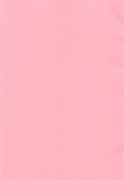 Page 2 of Nora Cat, Ikimasu