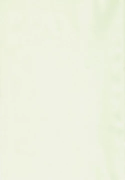 Page 2 of KEEP THE ILLUSION