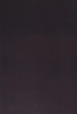 Page 17 of Nikuningyou Alice Margatroid