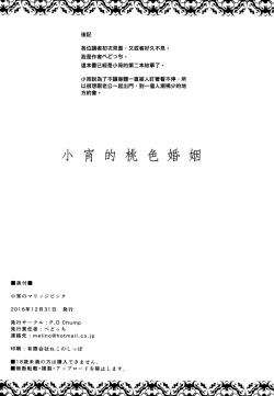 Page 21 of Koyoi no Marriage Pink | 小宵的桃色婚姻