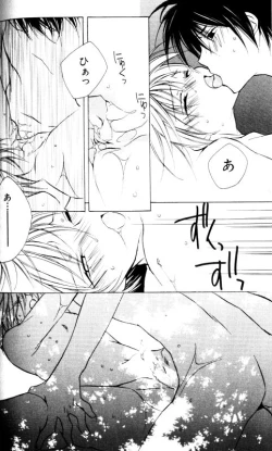 Page 66 of Bucchoudura ni Koi o Shite