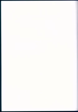 Page 17 of Lyrica Rays