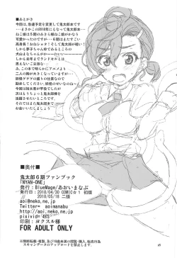 Page 17 of NYAN-ONE