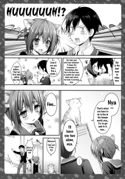 Page 15 of Nyancologysan no HimitsuHomecoming Nekota