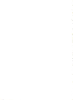 Page 273 of Kage no Nan Demo-R