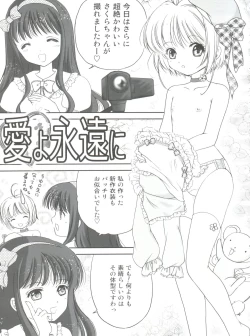 Page 7 of Sakura Festival