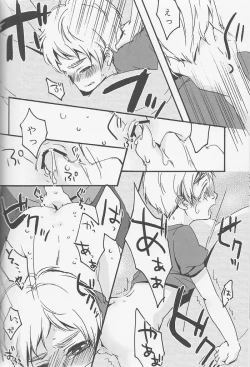 Page 33 of Ameri Canday