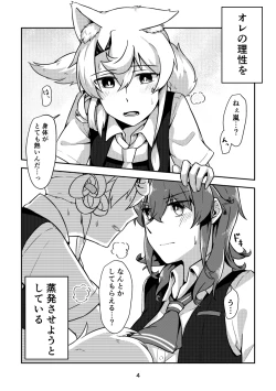 Page 4 of Estrum Heat