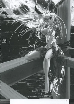 Page 17 of Inaba box