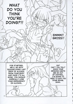 Page 20 of Inaba box