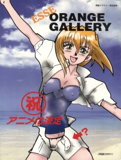 Page 1 of Esse Orange Gallery