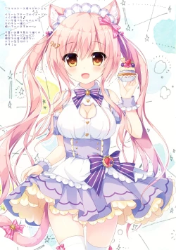 Page 13 of Maid Blanc wa Ikaga desu ka?