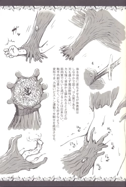 Page 13 of Syokusyu Zukan