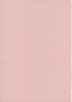 Page 2 of GIRL'S CAPRICCIO ENGAGE