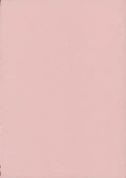 Page 3 of GIRL'S CAPRICCIO ENGAGE