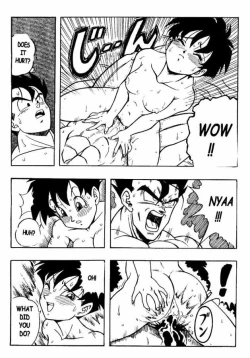 Page 19 of Dragon Ball H 03