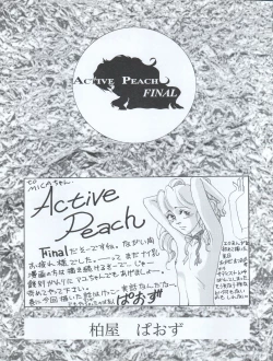 Page 43 of ACTIVE PEACH FINAL