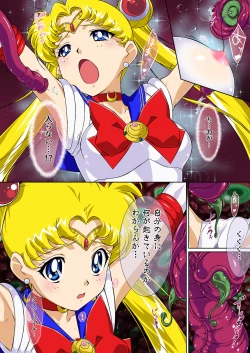 Page 14 of Sailor Moon Chu!