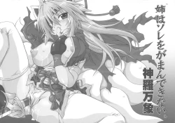 Page 2 of Ane wa Sore o Gaman Dekinai.