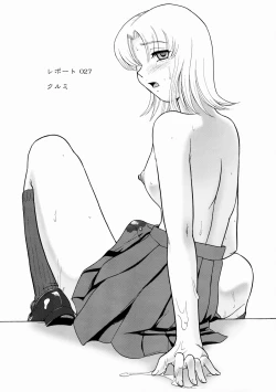 Page 4 of Dulce Report 10