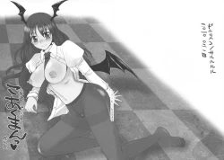 Page 26 of Touhou Sairokushuu