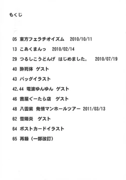 Page 4 of Touhou Sairokushuu