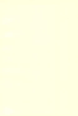 Page 2 of mango pudding