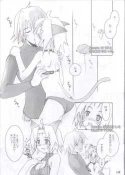 Page 10 of Vana'diel Hanjou Nikki - Vana'Diel Online Report