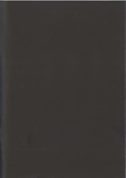 Page 2 of Vana'diel Hanjou Nikki - Vana'Diel Online Report