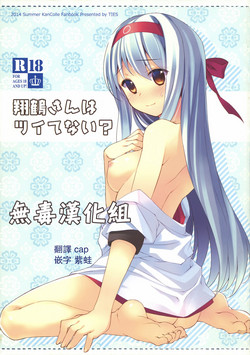 Download Shoukaku-san wa Tsuitenai?