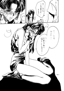 Page 28 of MODEL EVA