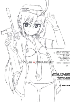 Page 11 of Little Mauser