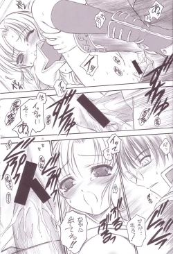 Page 19 of ARTEMISIA