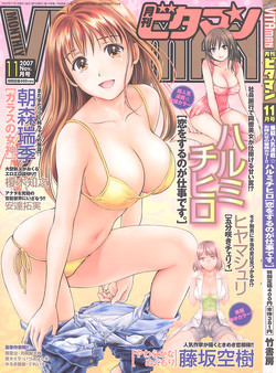 Download Monthly Vitaman 2007-11