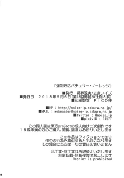 Page 17 of Kyousei Ninkatsu Patchouli Knowledge