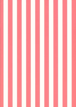 Page 15 of Zuihou-chan to Ecchi na Osake de Parynigh