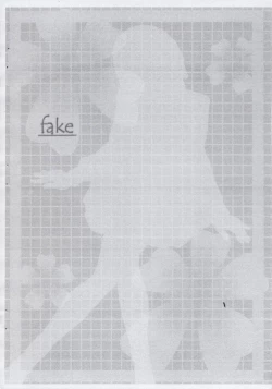 Page 3 of fake