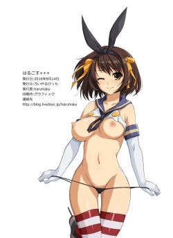 Page 22 of HARUCOS+++