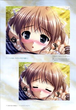 Page 71 of Yoake Mae Yori Ruri Iro NaPerfect Visual Book