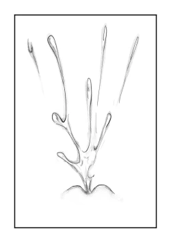 Page 16 of 宇佐见堇子想要自慰