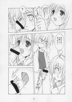 Page 14 of THE LAST CARD