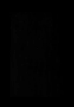 Page 21 of Nitamono Doushi